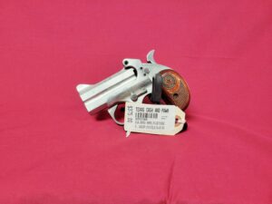 Bond Arms Defender