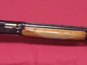 Browning Golden Hunter