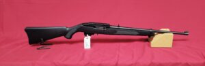 Ruger 10/22