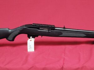 Ruger 10/22