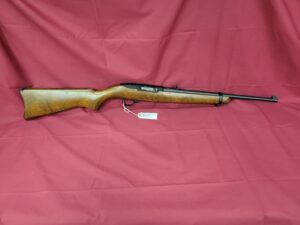 Ruger 10/22