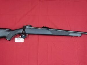 SAVAGE MODEL 10