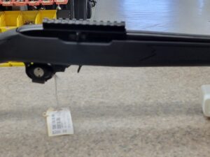 RUGER 10/22